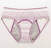 Teen Cotton Period Underwear – Light Flow & Pre - Period Briefs (3 Colours) - Underwear